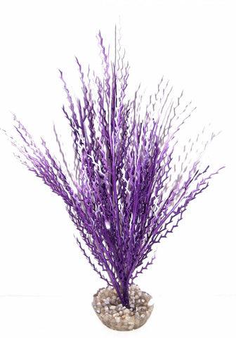 HERBE CORAIL MM VIOLET