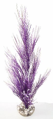 HERBE CORAIL GM VIOLET