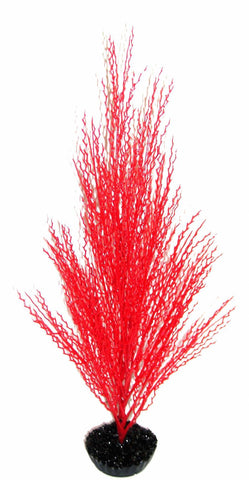 HERBE CORAIL GM ROUGE