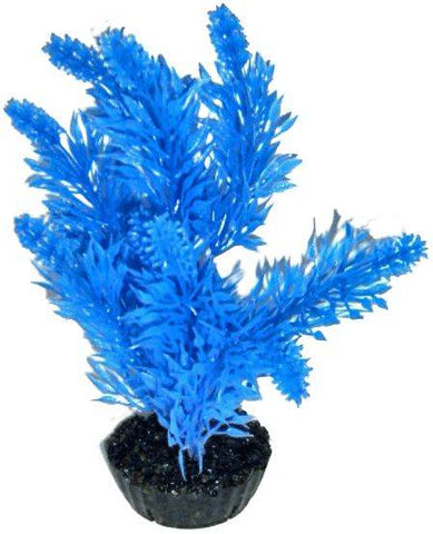 ARBRE PM BLEU