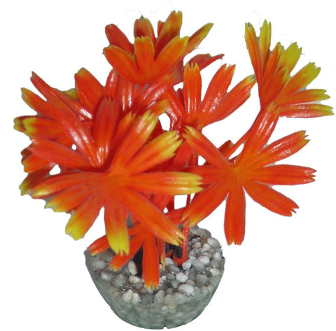 DECOR COLORE ORANGE