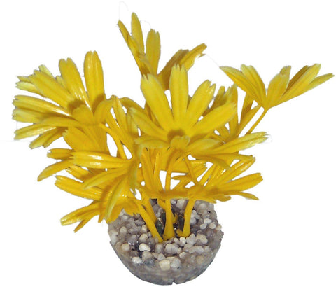 DECOR COLORE JAUNE