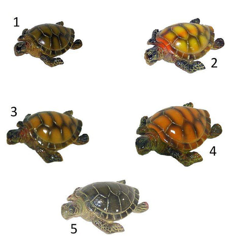 TORTUE GM ASSORTI