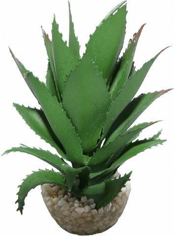 ANANAS VERT